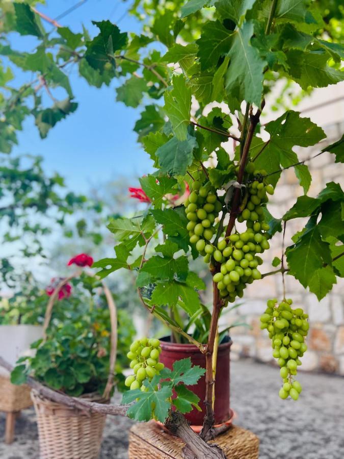 Tzavelitiko Home Himare Exterior foto